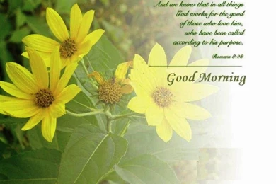 Good Morning Wallpapers