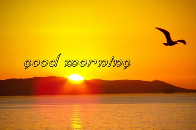 I Love You Good Morning Wallpapers   HD Wallpapers, HQ Photos ...