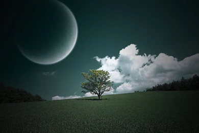 Pic New Posts: Jane Doe Wallpapers