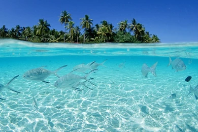 Computer Wallpapers HD PC017 – Wallpaperjosh