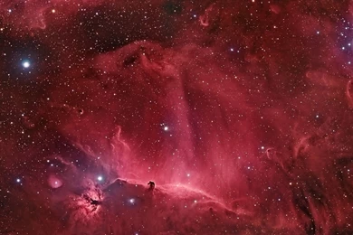 Pic New Posts: Jane Doe Wallpapers