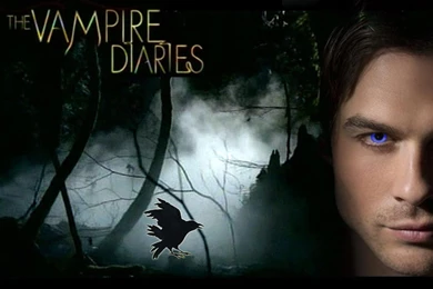The Vampire Diaries   Vampires Wallpapers (18605484)   Fanpop