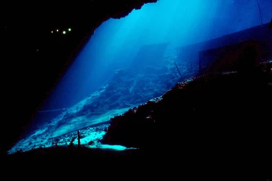 Amazing Deep Sea Wallpapers   Free Android Application   Createapk.com