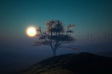 Today's Wallpapers 15/10/2014