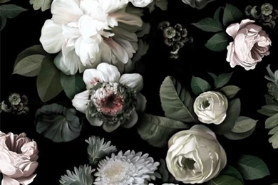 Dark Floral By Ellie Cashman Design