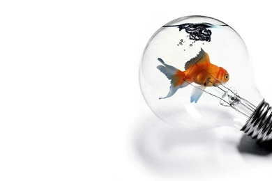 Bulb creative hd wallpapers.jpg