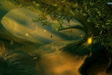 Road In The Forest Wallpapers   Nature Wallpapers