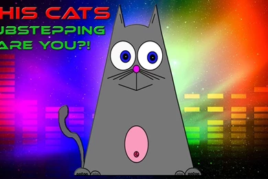 Cats: Dubstepping Cat Space Dubstep Music Enjoymuff Stars Dub New ...