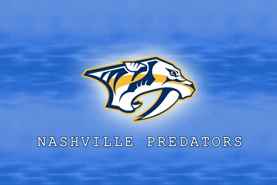 Boston Bruins Desktop Wallpapers 16555