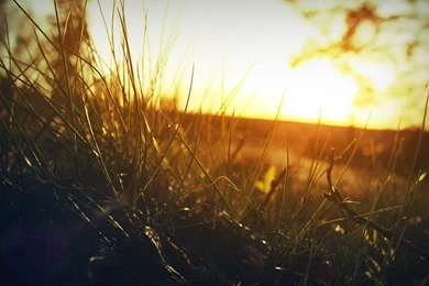 Things Are Simple and Clear Under the Sun s Golden Light a New Day ...