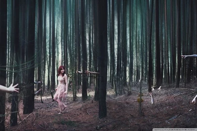 Nightmare HD Desktop Wallpapers : High Definition : Fullscreen : Mobile