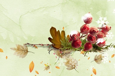 Simple Nature Wallpapers   842680