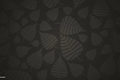 Nature Wallpapers 1/6