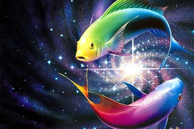 Gratis Wallpapers Hd   Widescreen HD Wallpapers