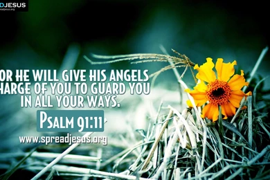 Palms Quotes. QuotesGram