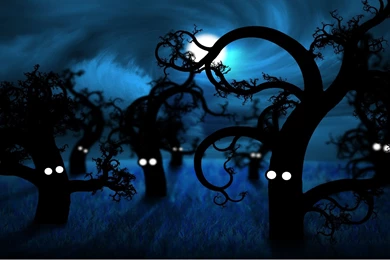Midnight Forest, Haunted, 2560x1440 HD Wallpapers And FREE Stock Photo
