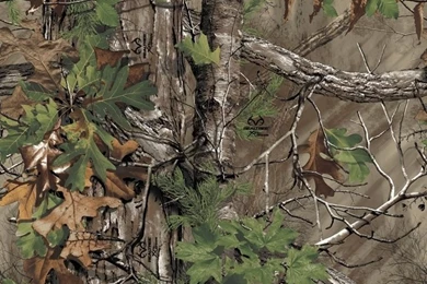 Country Logos On Pinterest