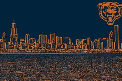 Honey Bear Chicago Bears Wallpapers 473332