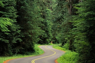 Nature Wallpapers For Android 25 Free Hd Wallpapers   XDwallpaper.com