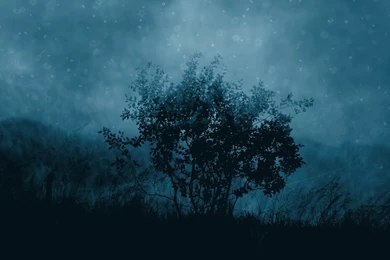 Wallpaper trees dark blue 8zs.jpg Photo By The_prey