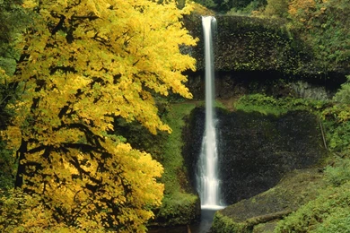 6 Eye catching Nature Android HD Wallpapers   I Am Qurat