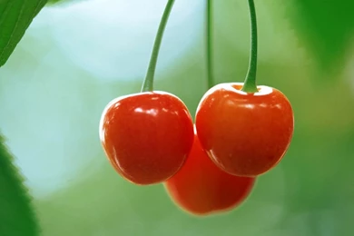 Nature Wallpapers   Fruits And Vegetables