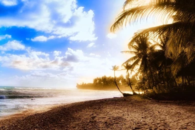 Nature Android Wallpapers Set 2 08