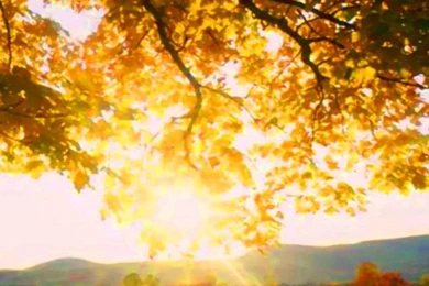 Xiaomi Redmi 2 Wallpaper: Nature Scene Mobile Android Wallpapers