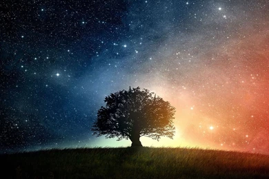 Nice Tree With Colorful Star Sky   1600x900   Wallpapers