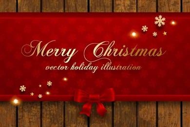 Merry Christmas Holiday Wooden Backgrounds Vector
