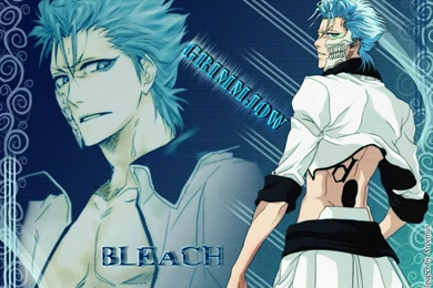Grimmjow ♥   Grimmjow Jeagerjaques Wallpapers (25526378)   Fanpop