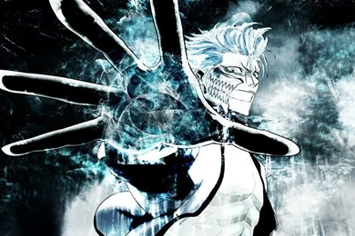 Grimmjow Jeagerjaques Wallpapers 64 Hd Wallpapers   Animewp.com