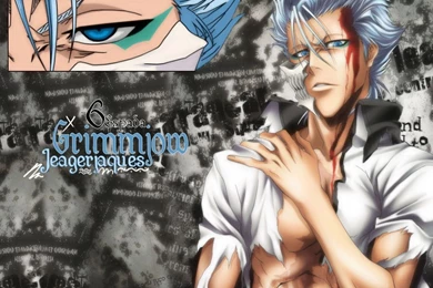 Grimmjow ♥   Grimmjow Jeagerjaques Wallpapers (25526224)   Fanpop