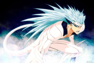 Grimmjow   Grimmjow Jeagerjaques Wallpapers (13423377)   Fanpop