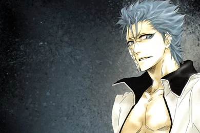 Grimmjow Wallpapers   Wallpapers Cave