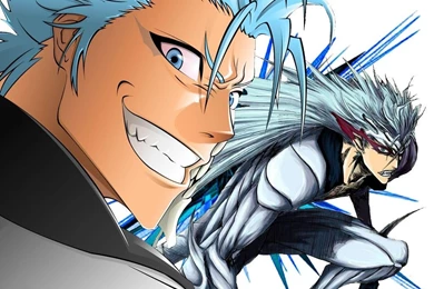 Grimmjow ♥   Grimmjow Jeagerjaques Wallpapers (25526170)   Fanpop