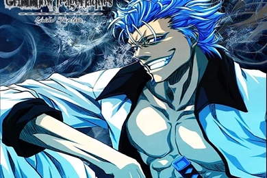 Grimmjow Jeagerjaques Wallpapers 49 Cool Wallpapers   Animewp.com