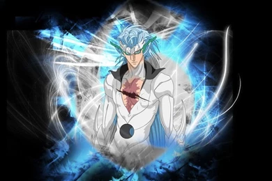 Jeagerjaques Grimmjow   Bleach Wallpapers