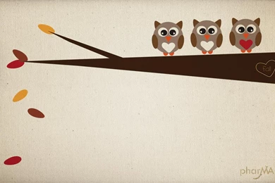 Free Owl Wallpapers   Wallpapers Cave