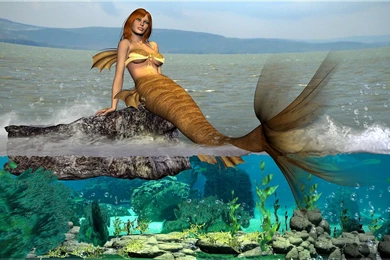 Free Wallpapers By ART TLC, Wallpapers TLC, WIDESCREEN 2 Sm