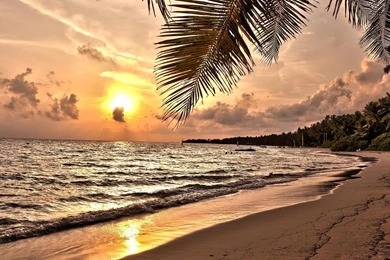 Organic Photos, Green, Hd Landscape Wallpapers, Sky, Flowers ...