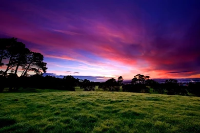 Hd Wallpapers Widescreen Free Download