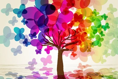 Colorful Rainbow Leaves Tablet Phone Wallpaper Backgrounds   Album ...