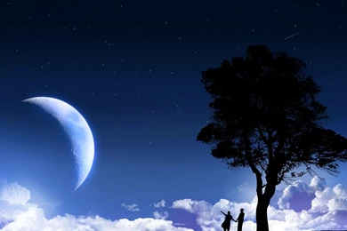 Love Quotes Images: Moon Wallpapers Moonlight Love Desktops