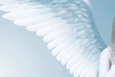 Download Wallpapers 1920x1080 Angel, Girl, Wings, Light Full HD ...