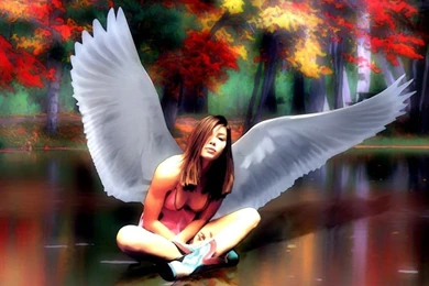 Angel Girl Fantasy Painting Wallpapers Free