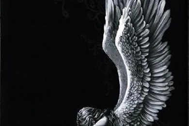 Angel Girl Wings Fantasy Alone Light Black White Wallpapers ...