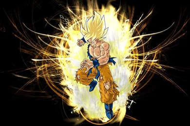 Flaming Super Saiyan Goku   (