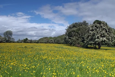 Landscape Background Images   HD Wallpapers Pretty