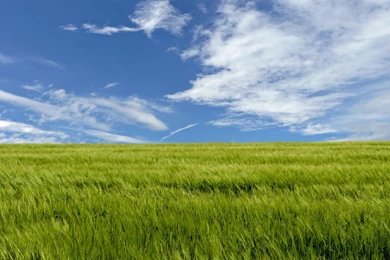 Landscape Background Images   HD Wallpapers Pretty